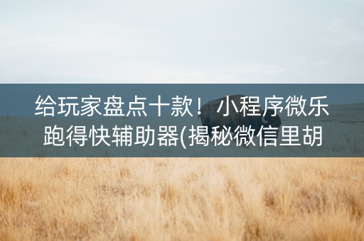 给玩家盘点十款！小程序微乐跑得快辅助器(揭秘微信里胡牌技巧)