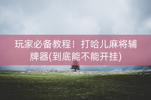 玩家必备教程！打哈儿麻将辅牌器(到底能不能开挂)