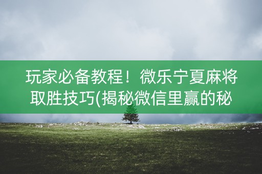 玩家必备教程！微乐宁夏麻将取胜技巧(揭秘微信里赢的秘诀)