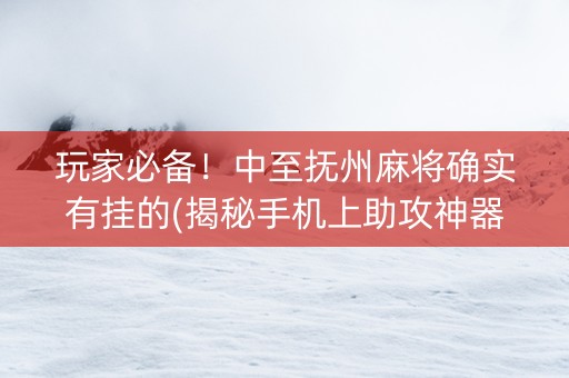 玩家必备！中至抚州麻将确实有挂的(揭秘手机上助攻神器)