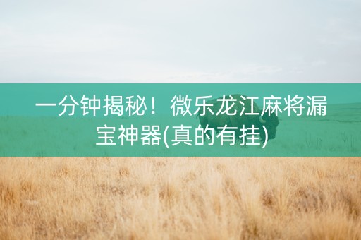 一分钟揭秘！微乐龙江麻将漏宝神器(真的有挂)