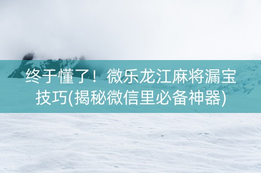 终于懂了！微乐龙江麻将漏宝技巧(揭秘微信里必备神器)