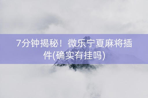 7分钟揭秘！微乐宁夏麻将插件(确实有挂吗)