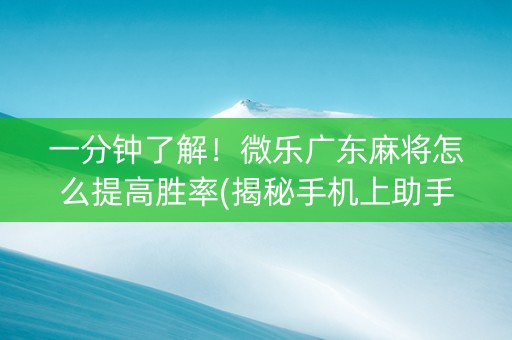 一分钟了解！微乐广东麻将怎么提高胜率(揭秘手机上助手软件)