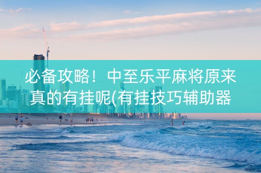 必备攻略！中至乐平麻将原来真的有挂呢(有挂技巧辅助器)