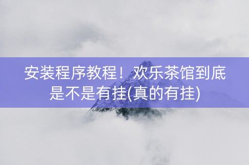 安装程序教程！欢乐茶馆到底是不是有挂(真的有挂)