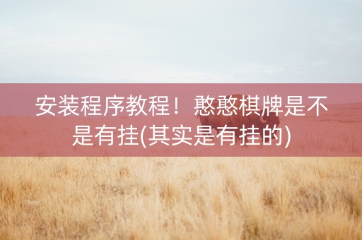 安装程序教程！憨憨棋牌是不是有挂(其实是有挂的)