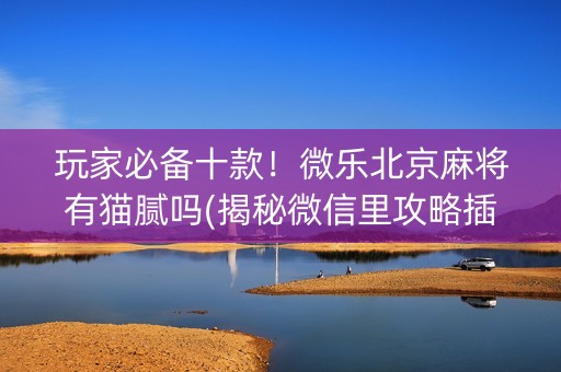 玩家必备十款！微乐北京麻将有猫腻吗(揭秘微信里攻略插件)