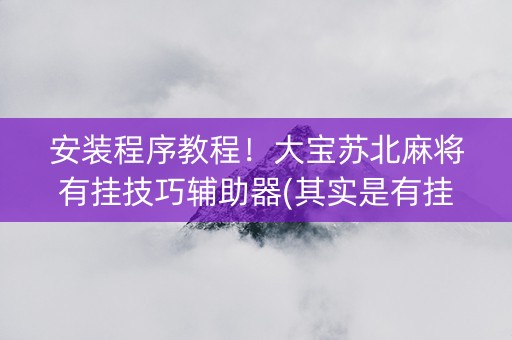 安装程序教程！大宝苏北麻将有挂技巧辅助器(其实是有挂确实有挂)