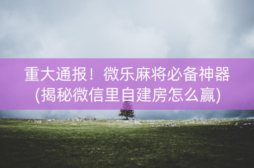 重大通报！微乐麻将必备神器(揭秘微信里自建房怎么赢)