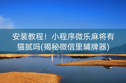 安装教程！小程序微乐麻将有猫腻吗(揭秘微信里辅牌器)