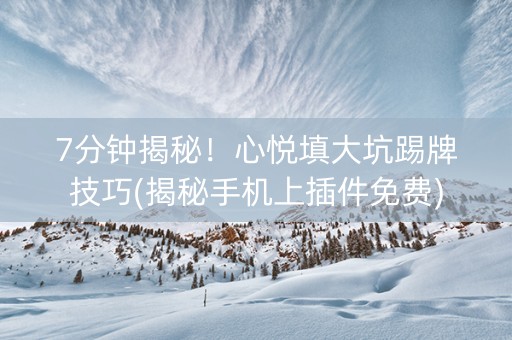 7分钟揭秘！心悦填大坑踢牌技巧(揭秘手机上插件免费)
