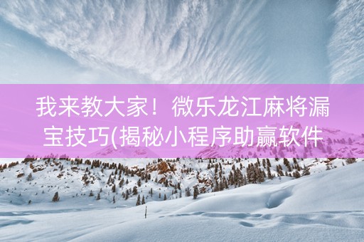 我来教大家！微乐龙江麻将漏宝技巧(揭秘小程序助赢软件)