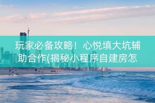 玩家必备攻略！心悦填大坑辅助合作(揭秘小程序自建房怎么赢)