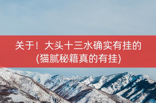 关于！大头十三水确实有挂的(猫腻秘籍真的有挂)