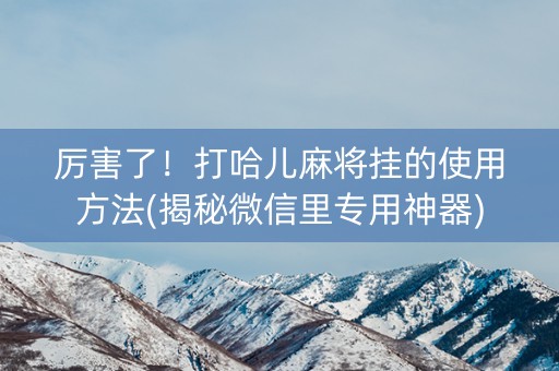 厉害了！打哈儿麻将挂的使用方法(揭秘微信里专用神器)