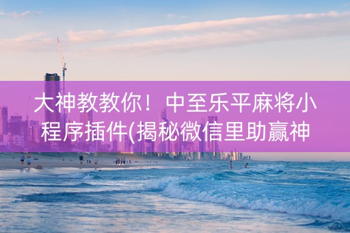 大神教教你！中至乐平麻将小程序插件(揭秘微信里助赢神器购买)