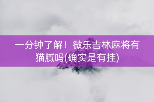 一分钟了解！微乐吉林麻将有猫腻吗(确实是有挂)