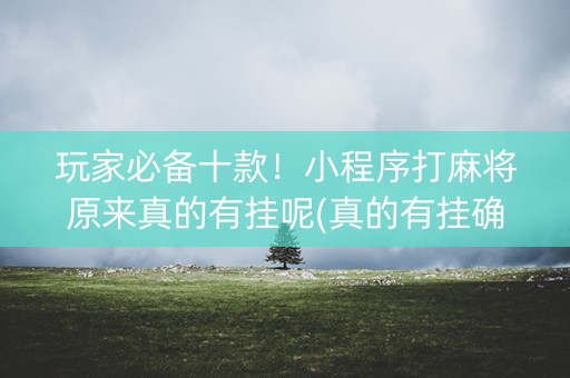 玩家必备十款！小程序打麻将原来真的有挂呢(真的有挂确实有挂)