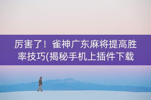 厉害了！雀神广东麻将提高胜率技巧(揭秘手机上插件下载)