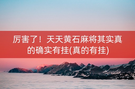 厉害了！天天黄石麻将其实真的确实有挂(真的有挂)