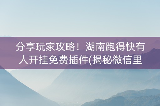 分享玩家攻略！湖南跑得快有人开挂免费插件(揭秘微信里赢的秘诀)