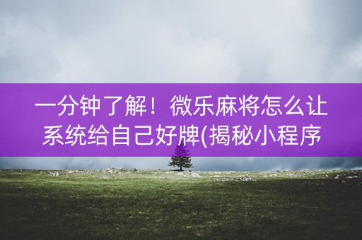 一分钟了解！微乐麻将怎么让系统给自己好牌(揭秘小程序最新神器下载)