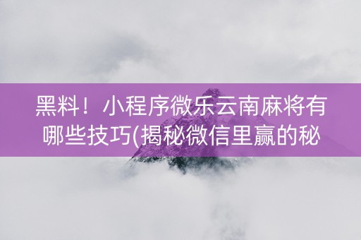 黑料！小程序微乐云南麻将有哪些技巧(揭秘微信里赢的秘诀)