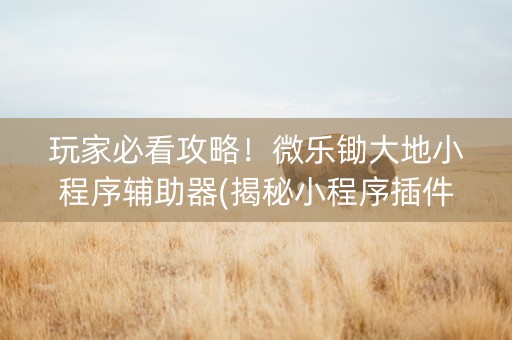 玩家必看攻略！微乐锄大地小程序辅助器(揭秘小程序插件免费)