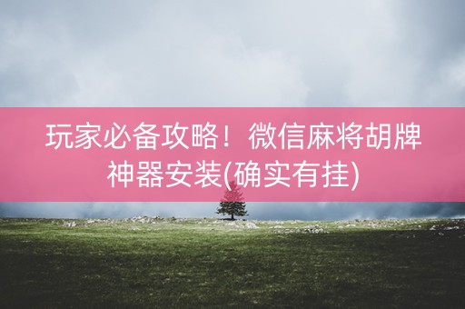 玩家必备攻略！微信麻将胡牌神器安装(确实有挂)