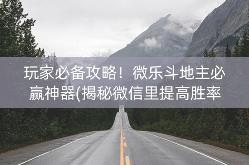 玩家必备攻略！微乐斗地主必赢神器(揭秘微信里提高胜率)