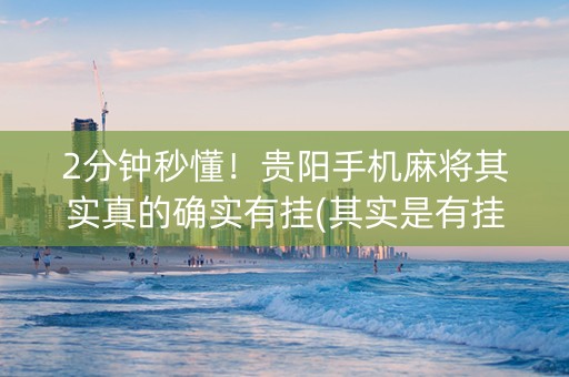 2分钟秒懂！贵阳手机麻将其实真的确实有挂(其实是有挂的)