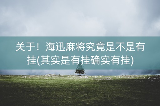 关于！海迅麻将究竟是不是有挂(其实是有挂确实有挂)