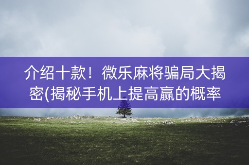 介绍十款！微乐麻将骗局大揭密(揭秘手机上提高赢的概率)