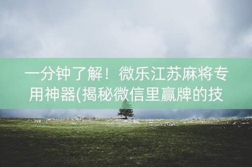 一分钟了解！微乐江苏麻将专用神器(揭秘微信里赢牌的技巧)