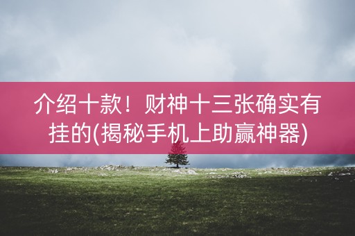 介绍十款！财神十三张确实有挂的(揭秘手机上助赢神器)