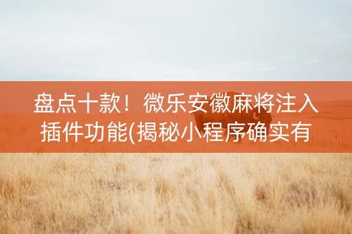 盘点十款！微乐安徽麻将注入插件功能(揭秘小程序确实有猫腻)