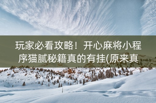 玩家必看攻略！开心麻将小程序猫腻秘籍真的有挂(原来真的有挂)