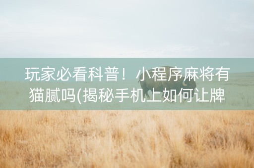 玩家必看科普！小程序麻将有猫腻吗(揭秘手机上如何让牌变好)