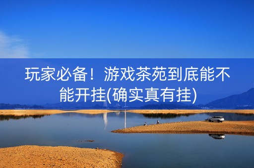 玩家必备！游戏茶苑到底能不能开挂(确实真有挂)