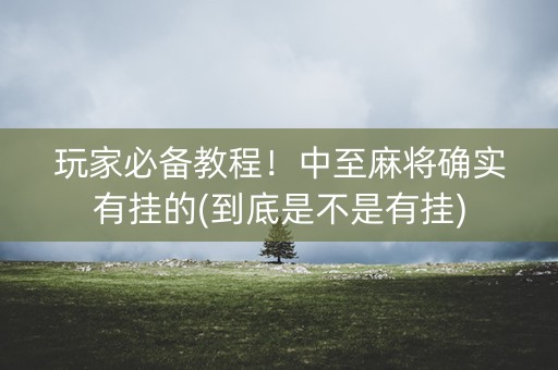 玩家必备教程！中至麻将确实有挂的(到底是不是有挂)