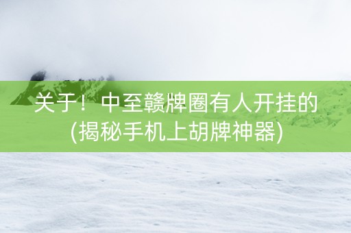 关于！中至赣牌圈有人开挂的(揭秘手机上胡牌神器)
