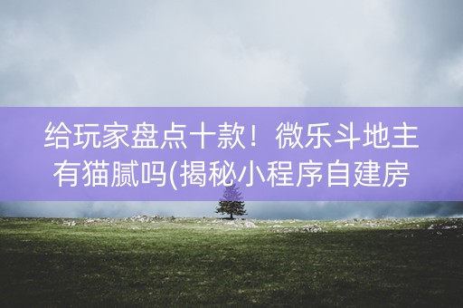 给玩家盘点十款！微乐斗地主有猫腻吗(揭秘小程序自建房怎么赢)