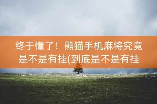 终于懂了！熊猫手机麻将究竟是不是有挂(到底是不是有挂)
