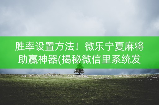 胜率设置方法！微乐宁夏麻将助赢神器(揭秘微信里系统发好牌)