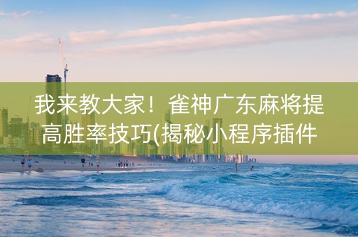 我来教大家！雀神广东麻将提高胜率技巧(揭秘小程序插件购买)