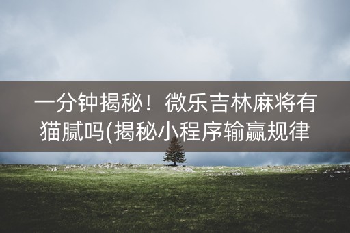 一分钟揭秘！微乐吉林麻将有猫腻吗(揭秘小程序输赢规律)