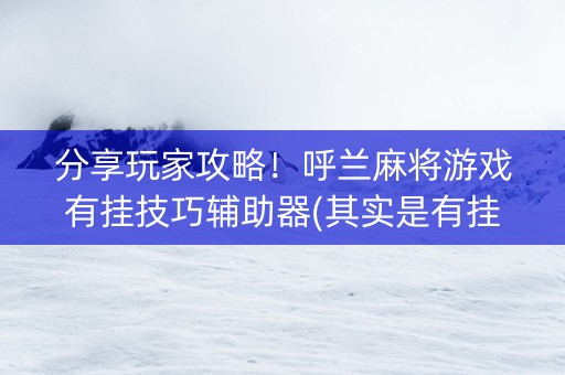 分享玩家攻略！呼兰麻将游戏有挂技巧辅助器(其实是有挂确实有挂)
