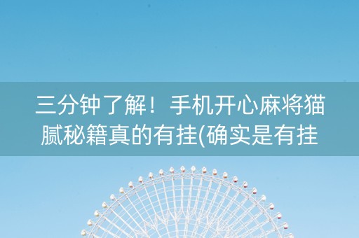三分钟了解！手机开心麻将猫腻秘籍真的有挂(确实是有挂的)
