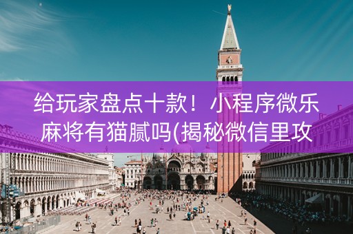 给玩家盘点十款！小程序微乐麻将有猫腻吗(揭秘微信里攻略插件)